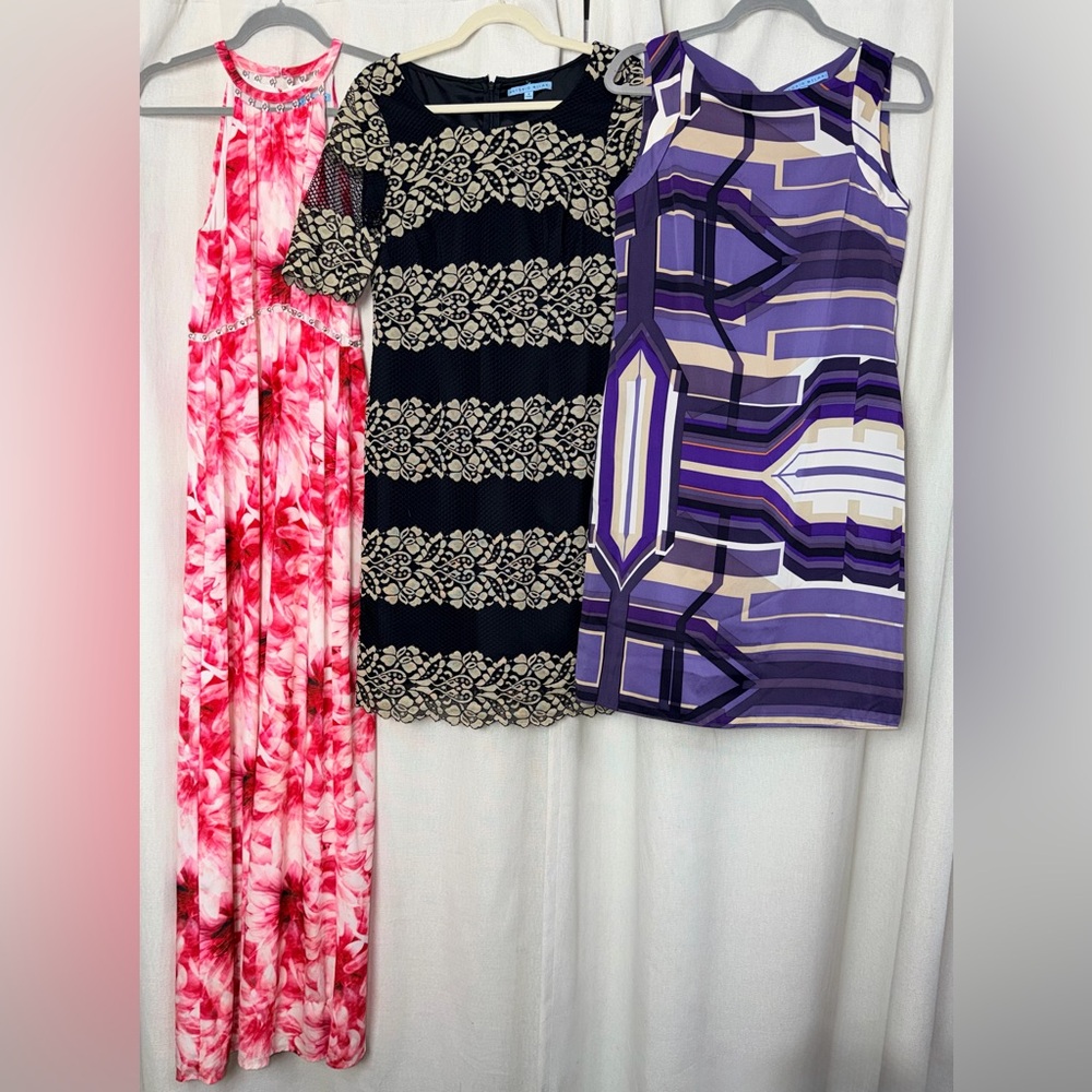 Antonio Melani Dress Lot of 3 Size 4 Lace Silk Floral Lined Career Occasion